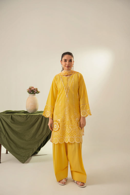 Surya Embroidered 3pc